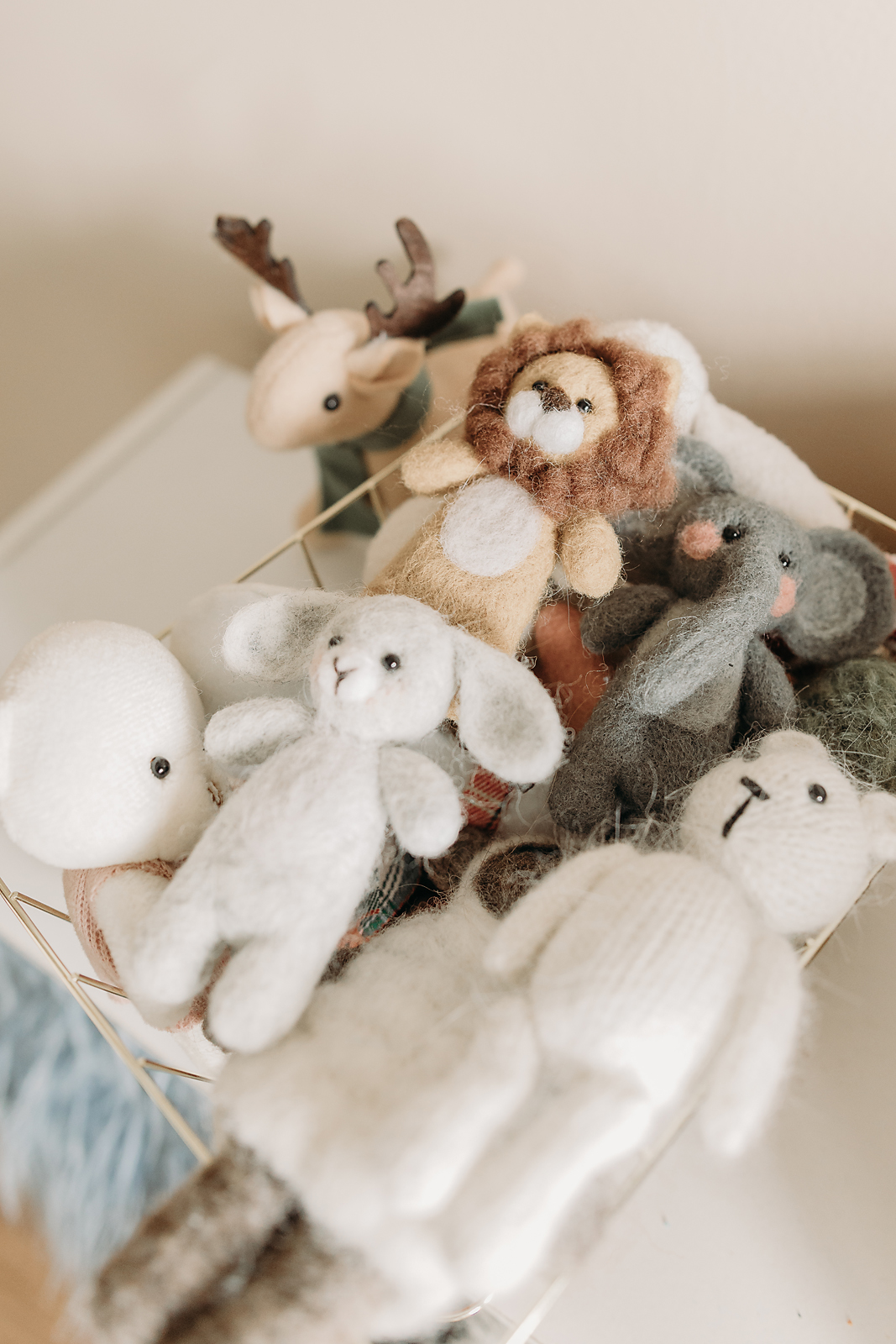 Baby outfits, wraps, and accessories all provided by Tampa photographer