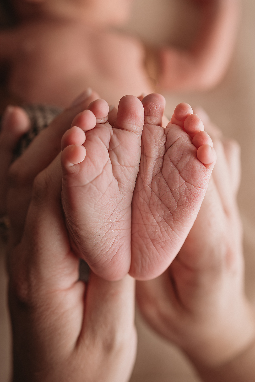 Close-up photo of tiny newborn baby feet showing delicate skin details and wrinkles during Tampa newborn photography session