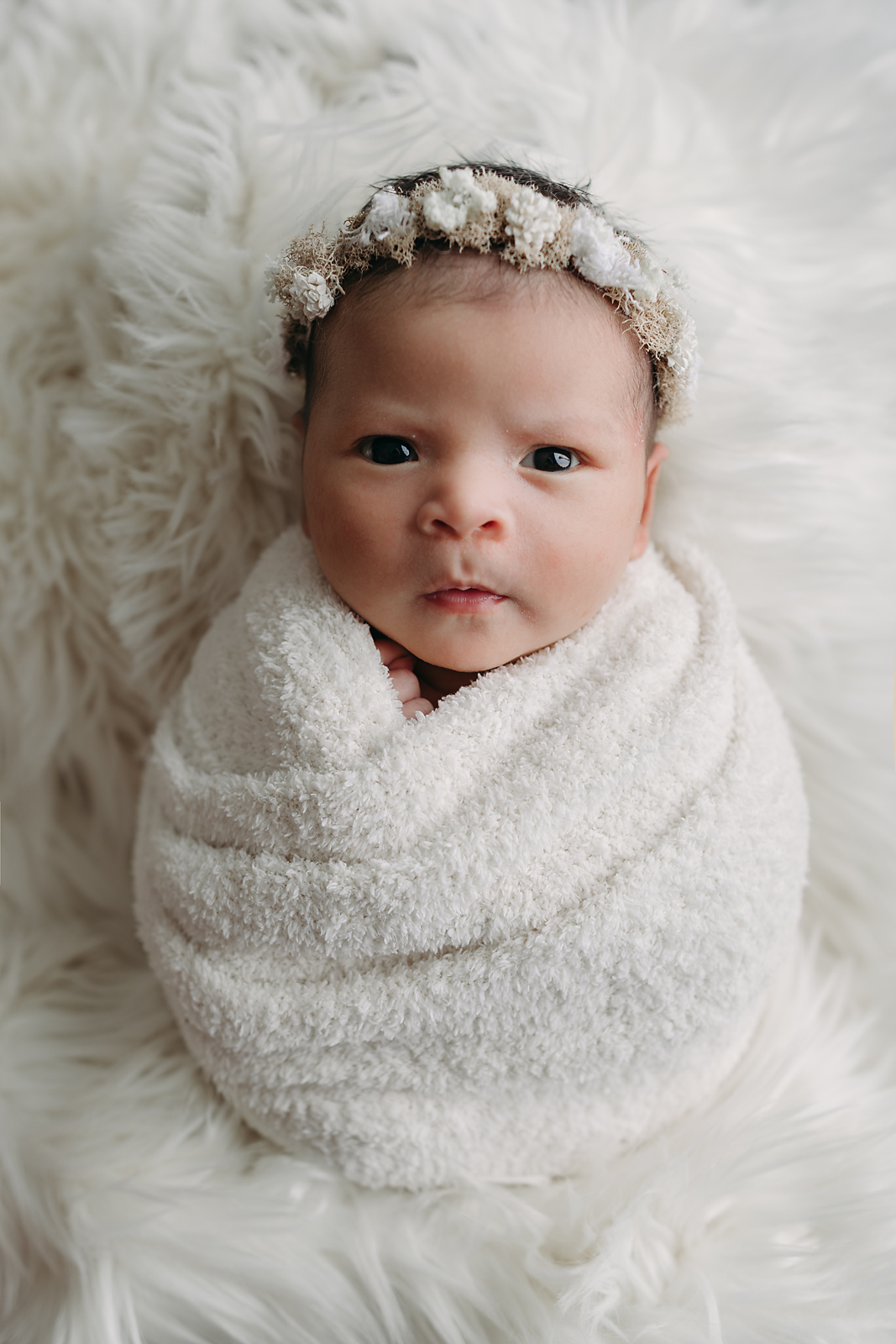 Soft Neutral Baby Photos at Tampa Newborn Studio