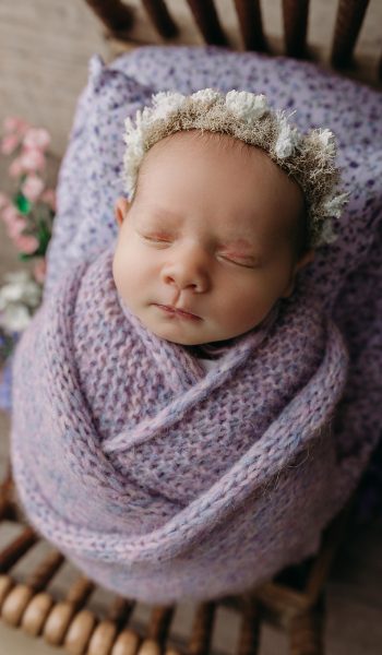Sleeping newborn wrapped poses in soft purple knit blanket