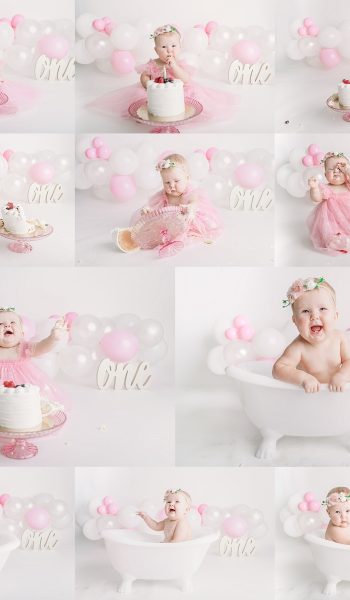 tampa cake smash photographer